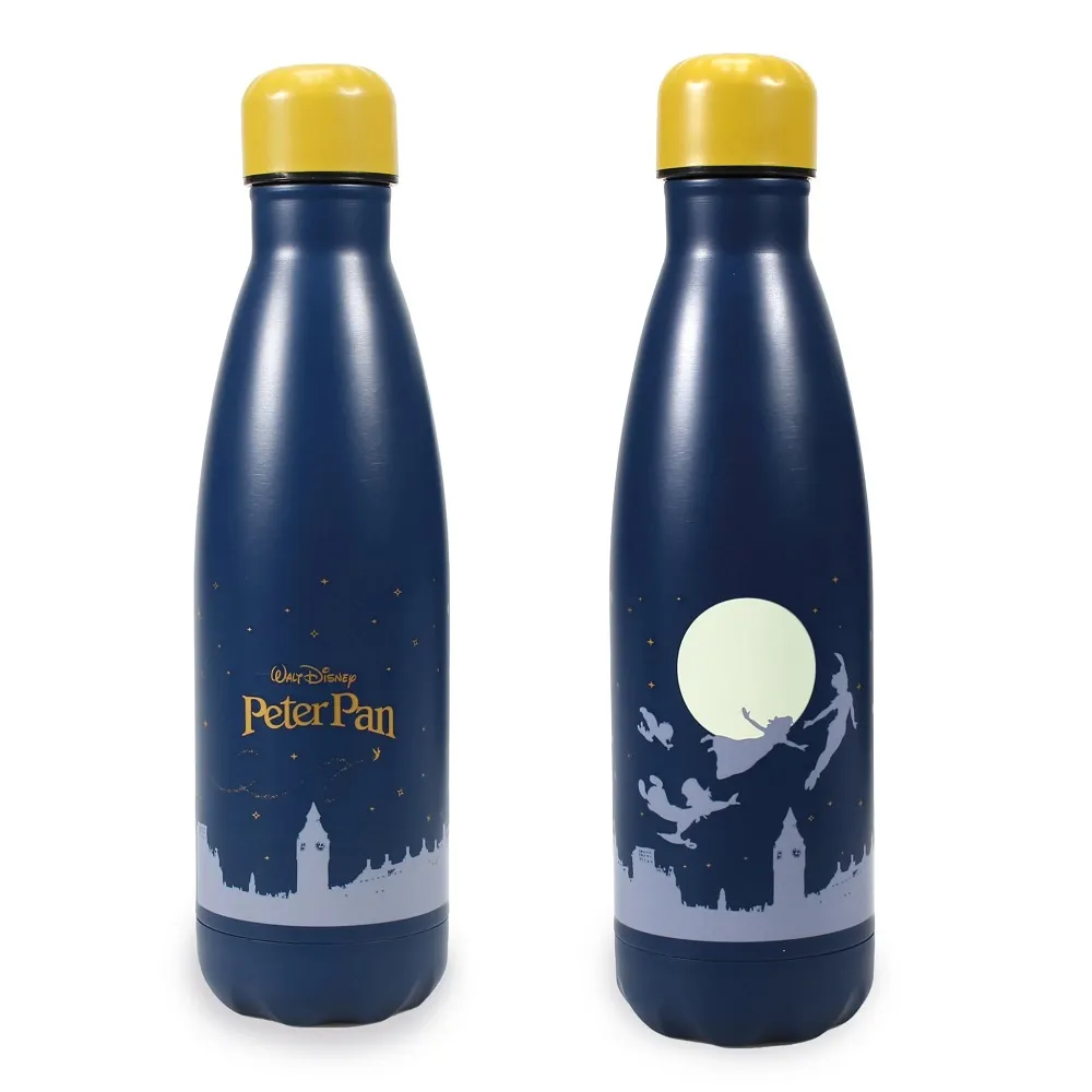 Peter Pan Metal Water Bottle