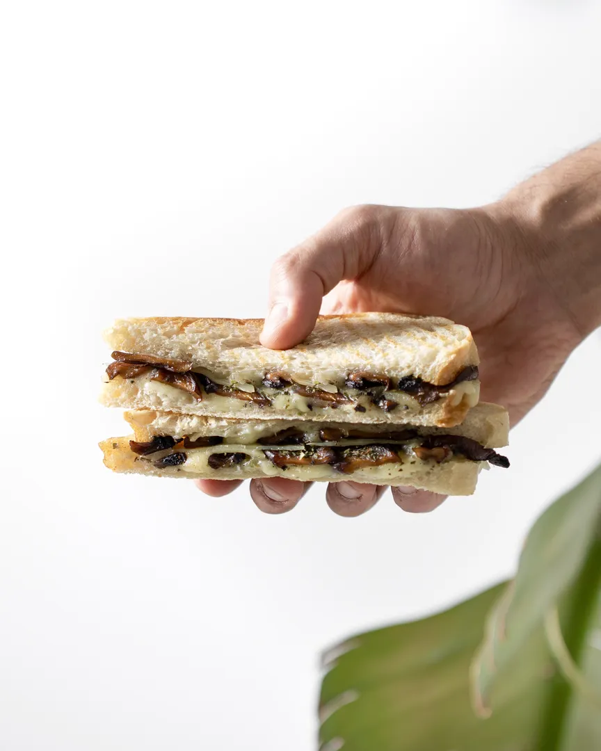 Mushroom Cheese & Mushroom