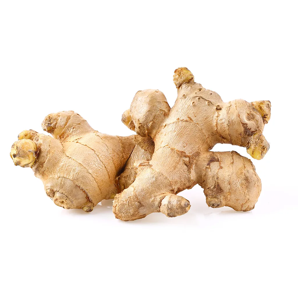 زنجبيل