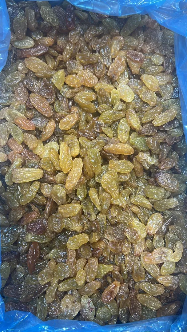 NO : 1084 زبيب ذهبي جامبو تشيلي