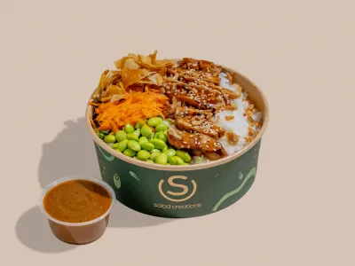 طبق دجاج تيرياكي