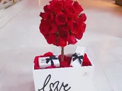 Red Ball Box
