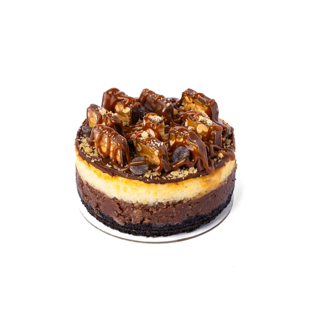 Mini Turtle Cheesecake
