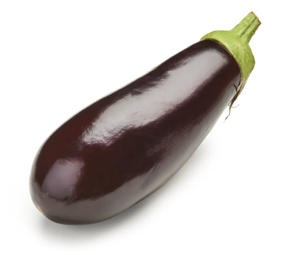 Aubergine