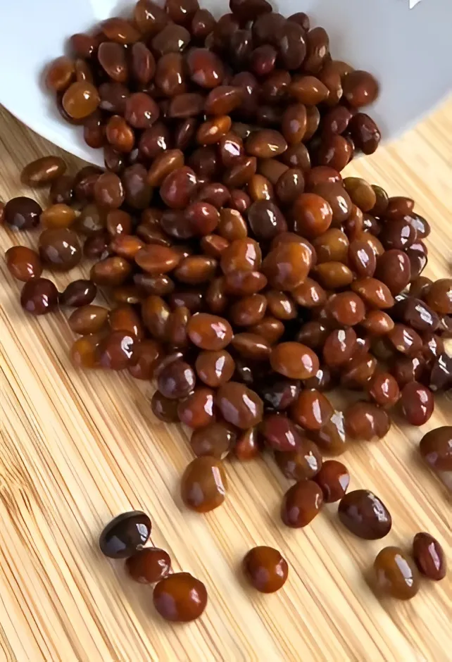 باناك تركي 250 جم