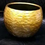 Dutch pot torro gold-3