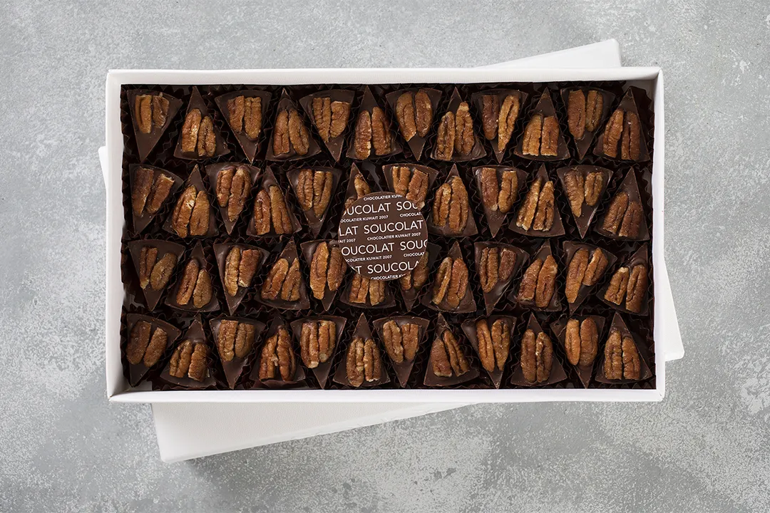 Turtle Tablet Box - 48 Pcs