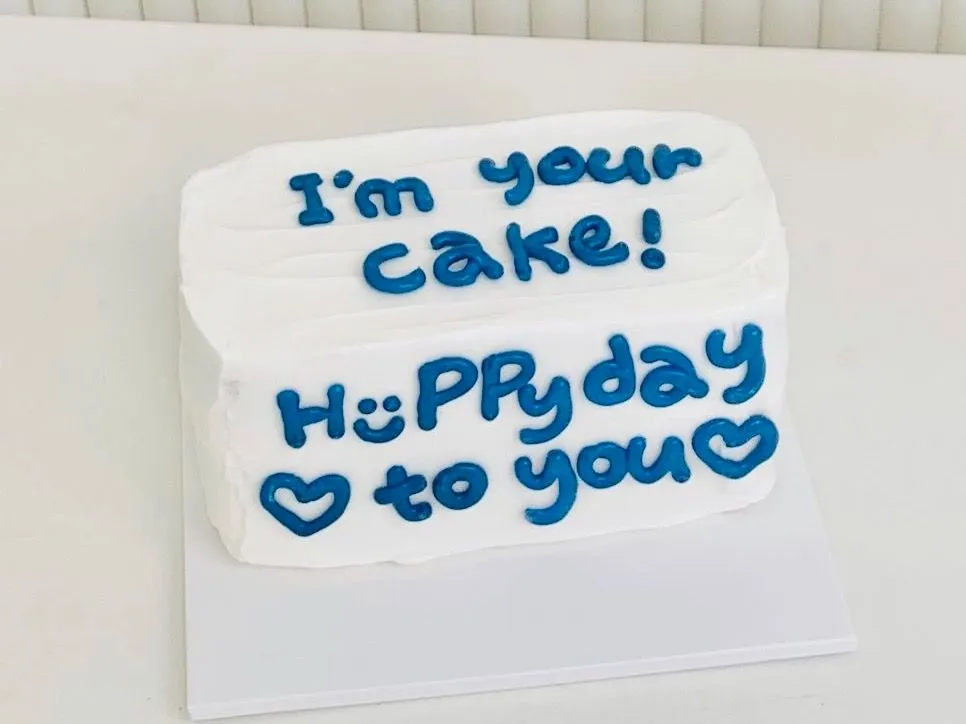 Rectangular Cake 6