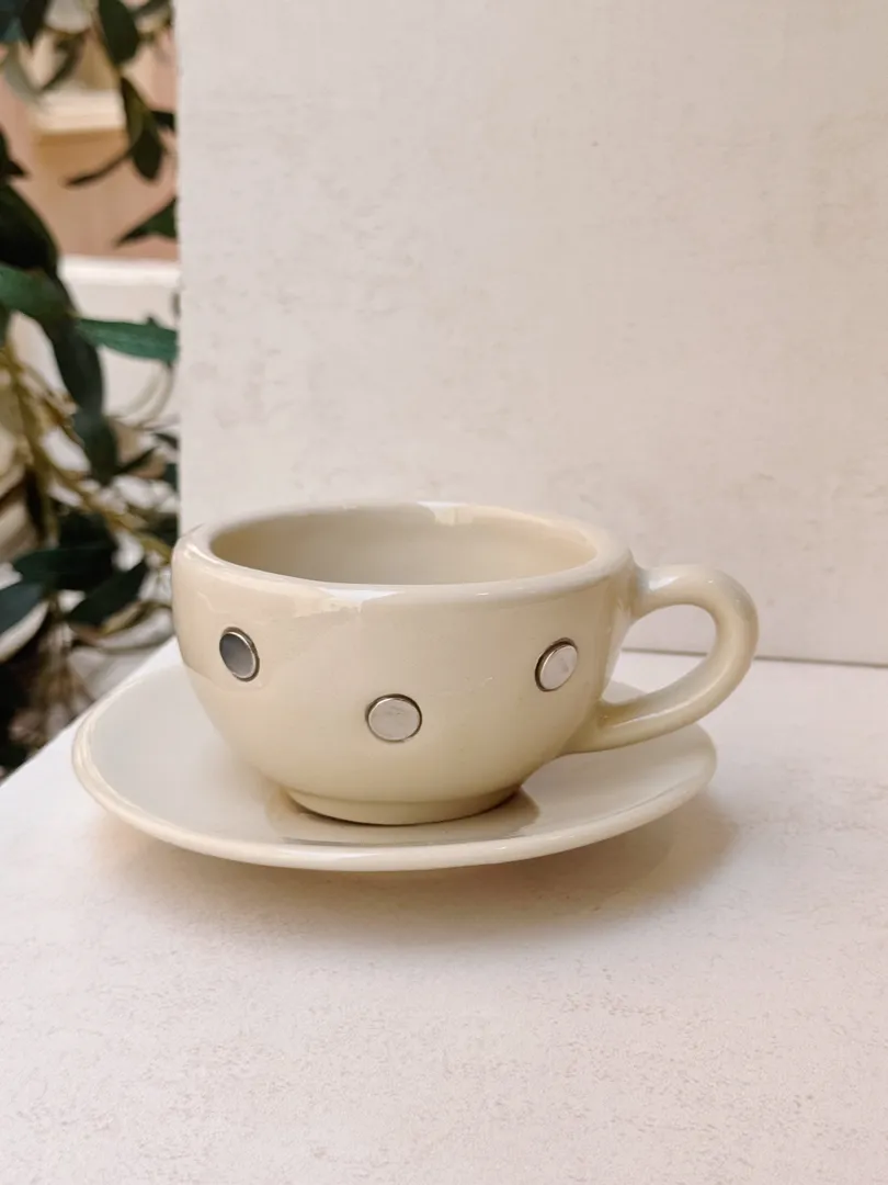 Magnetic mug with plate