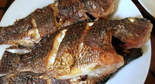 وجبة بلطي مشوي