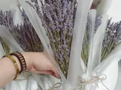 Small Lavender Bouquet