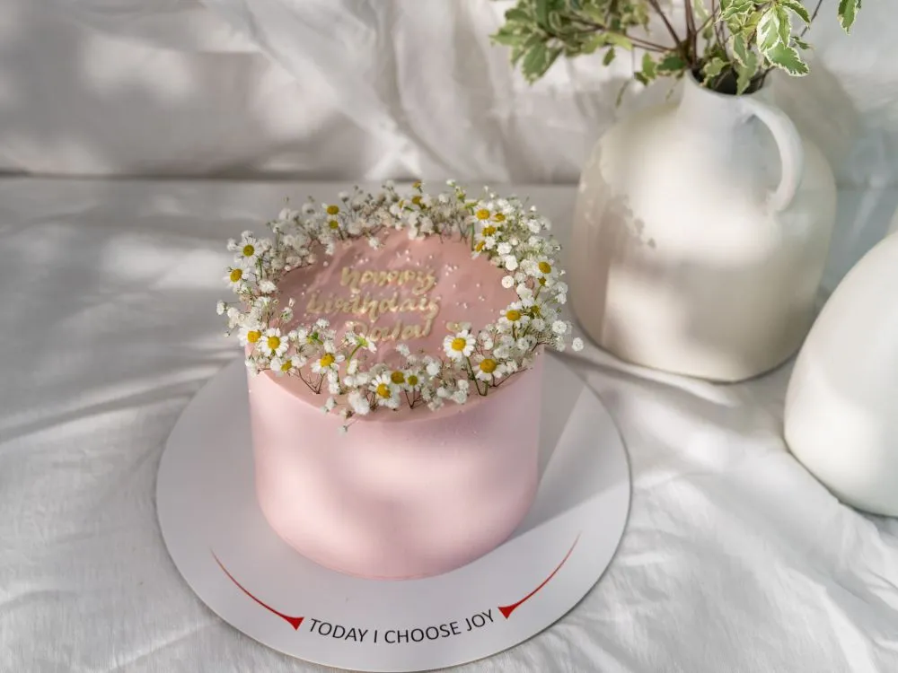 Gypsy Pink Cake