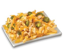 LOADED FRIES