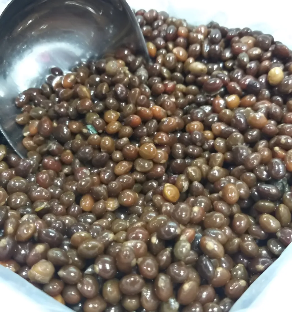 باناك إيراني 250 جم