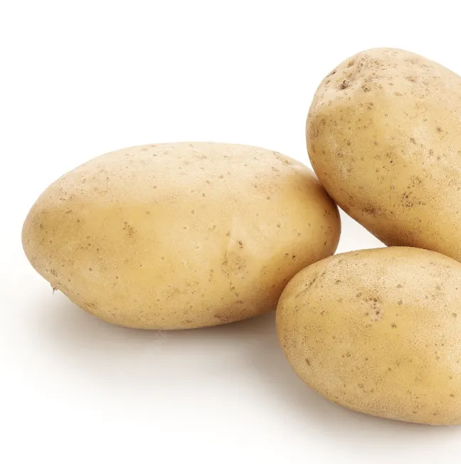 Potato
