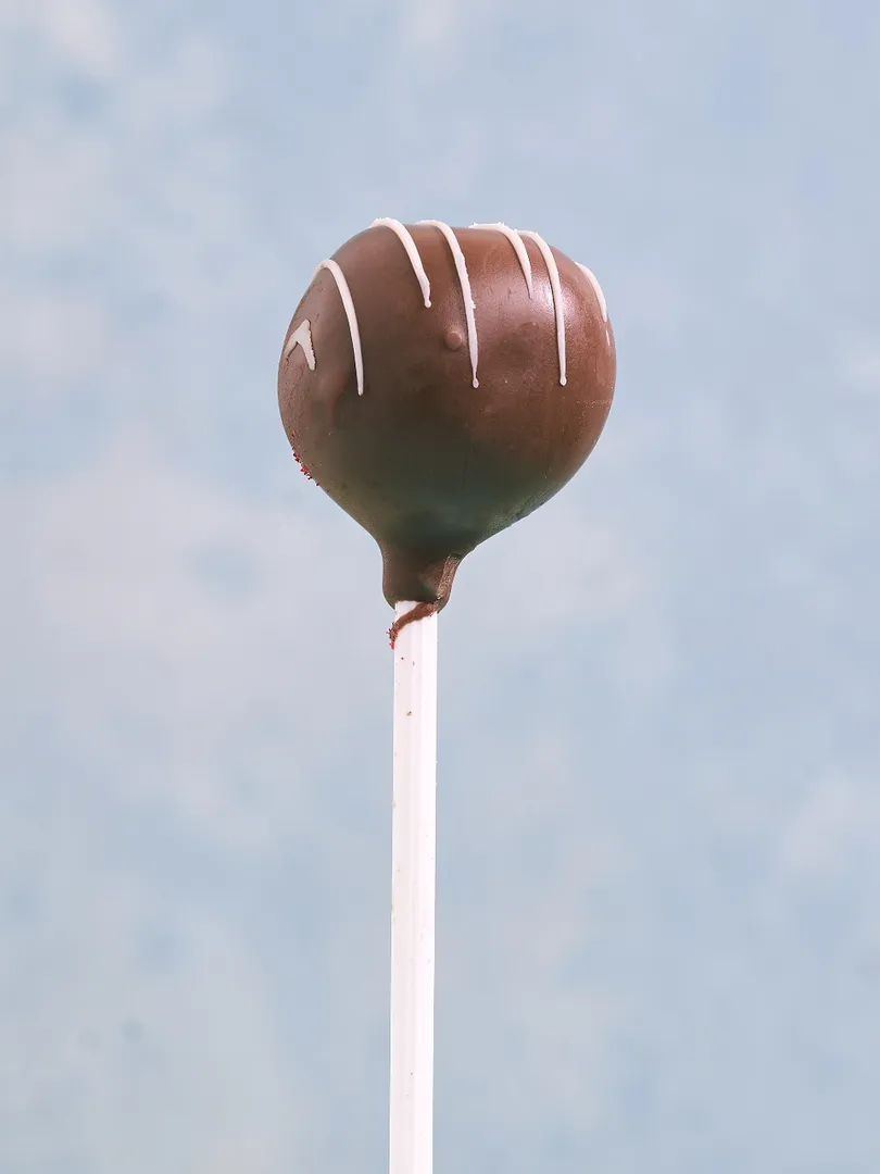Chocolate Cake Pops