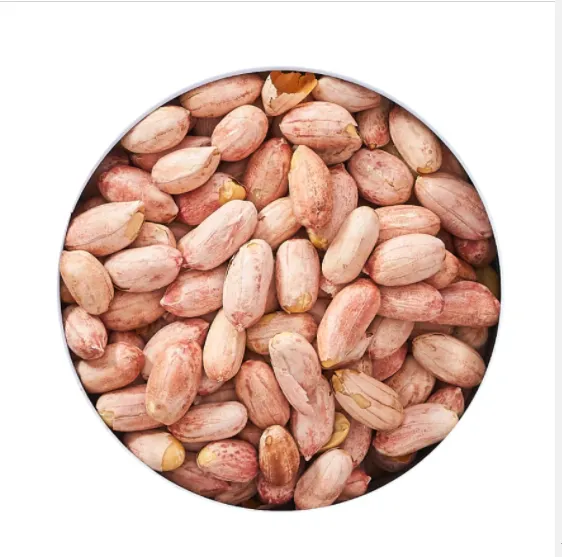 السوداني.