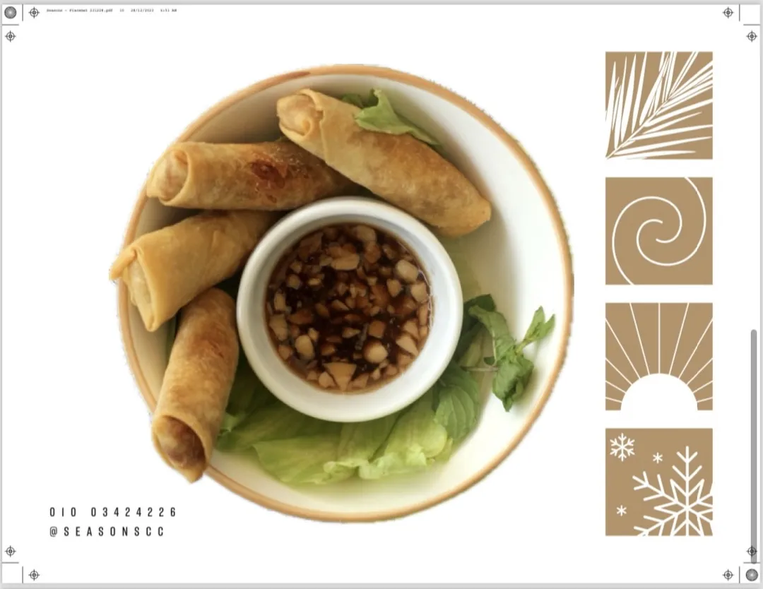 DUCK CONFIT SPRING ROLL
