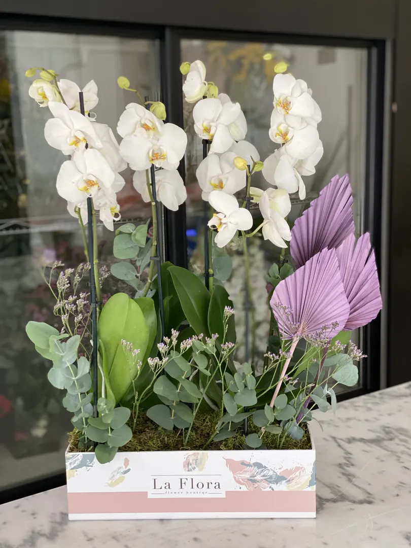 laflora,'s signature plants