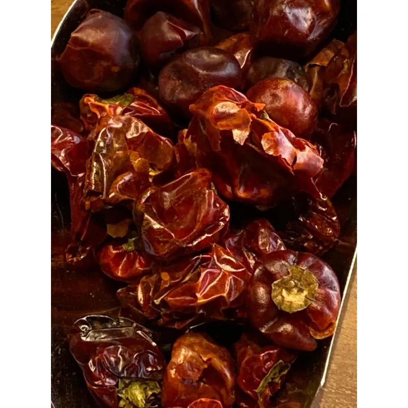 Round hot pepper NO: 51