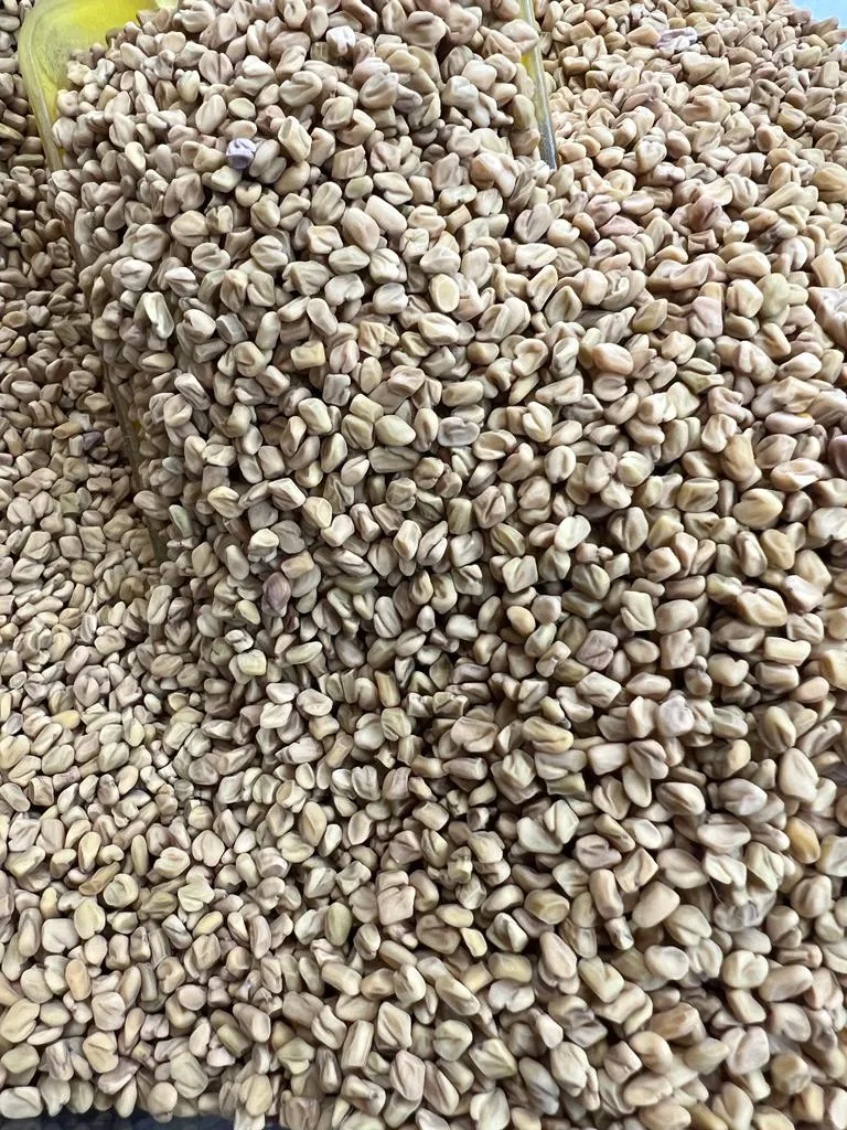 No: 1033 حلبه نجديه ( سعوديه )