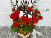 وعاء الحب