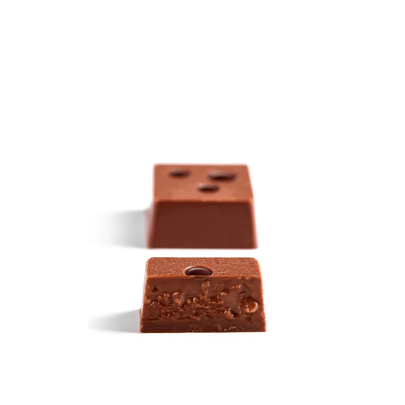 MILK CHOCOLATE HAZELNUT PRALINE WITH FEUILLETINE CRISP