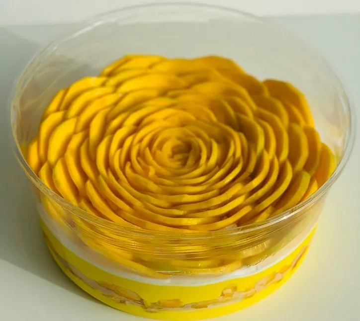 Mango Pudding