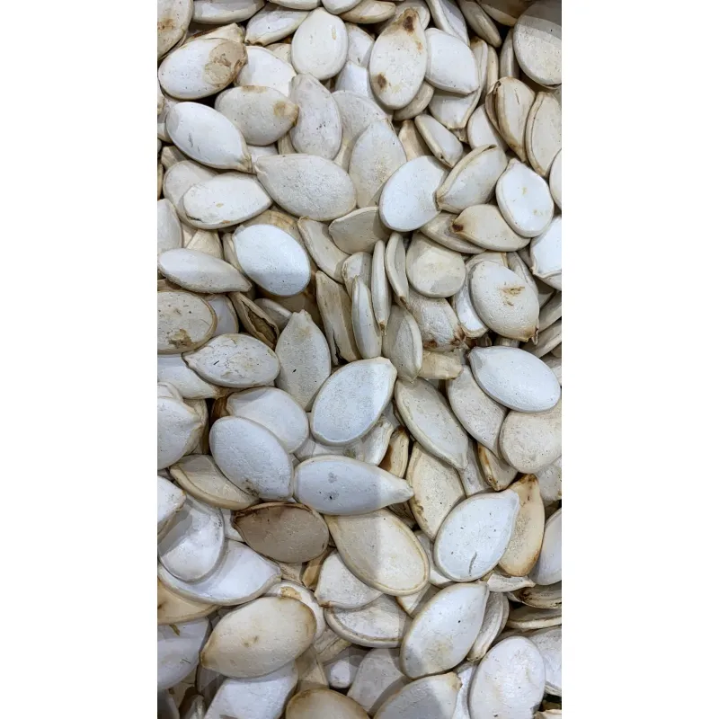 حب أبيض بدون ملح
