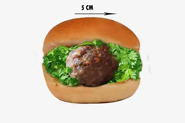 Oriental kofta
