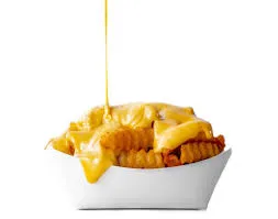 Cheesy Fries