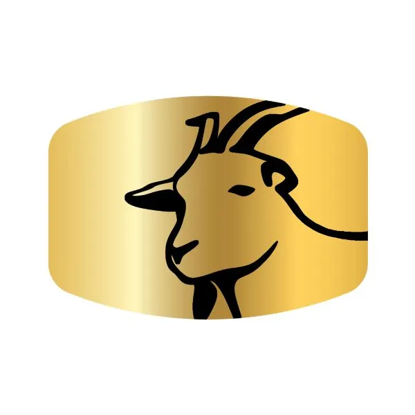 Dutch Gouda Goat Cheese 