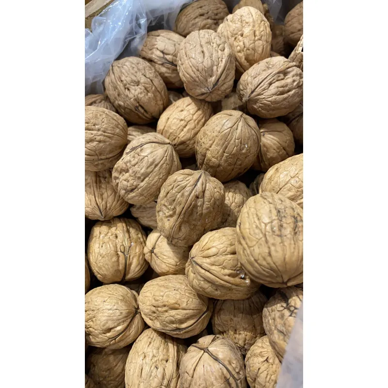 جوز بالقشر تشيلي