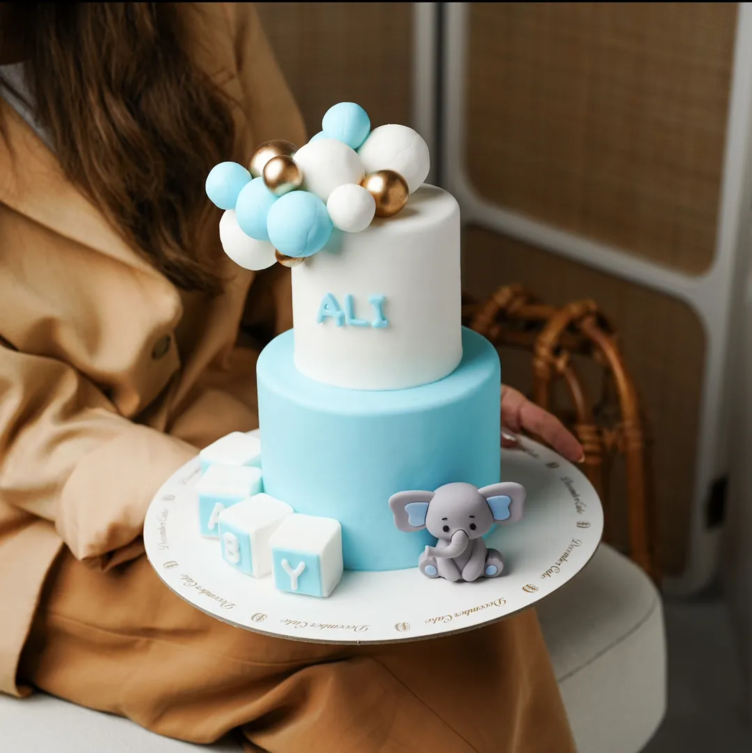 Elephant and ball cake small double 6inch mix chocolate vanilla