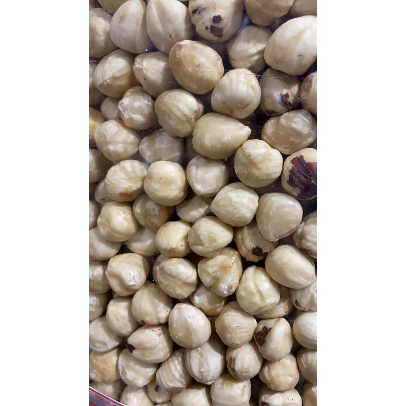 بندق غير محمص NO: 98