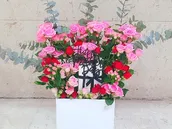 عيد أم سعيد الصندوق الأبيض