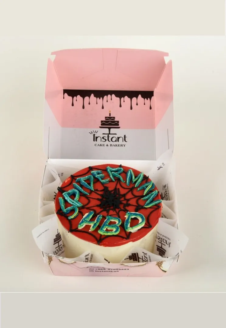 Instant Mini Cake 12