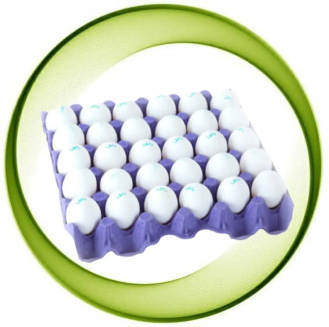 White farm eggs