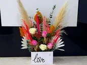 Special Dream Love
