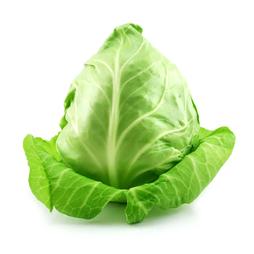 Cabbage