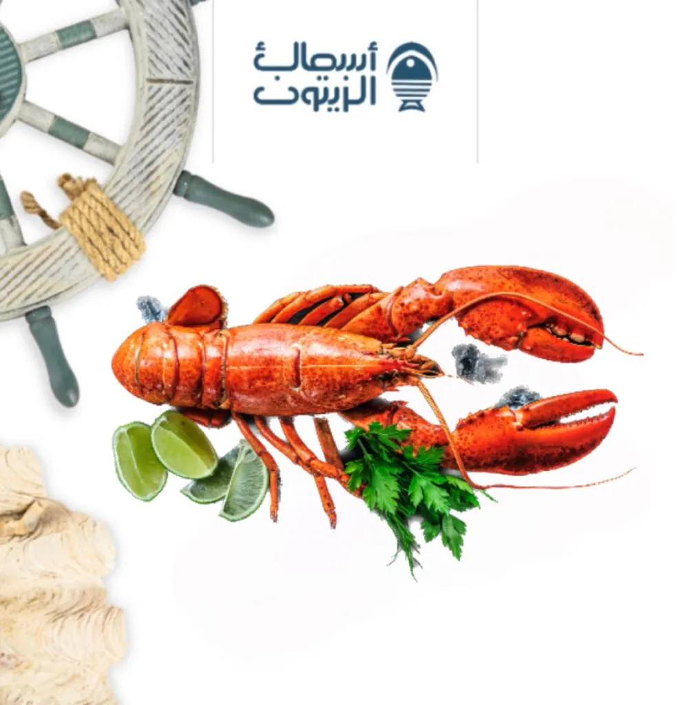 استاكوزا كيلو
