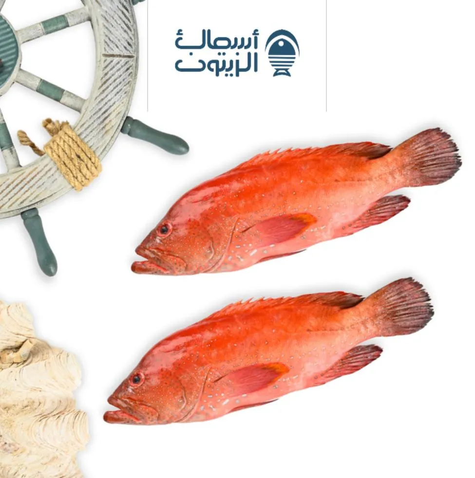 ناجل  كيلو