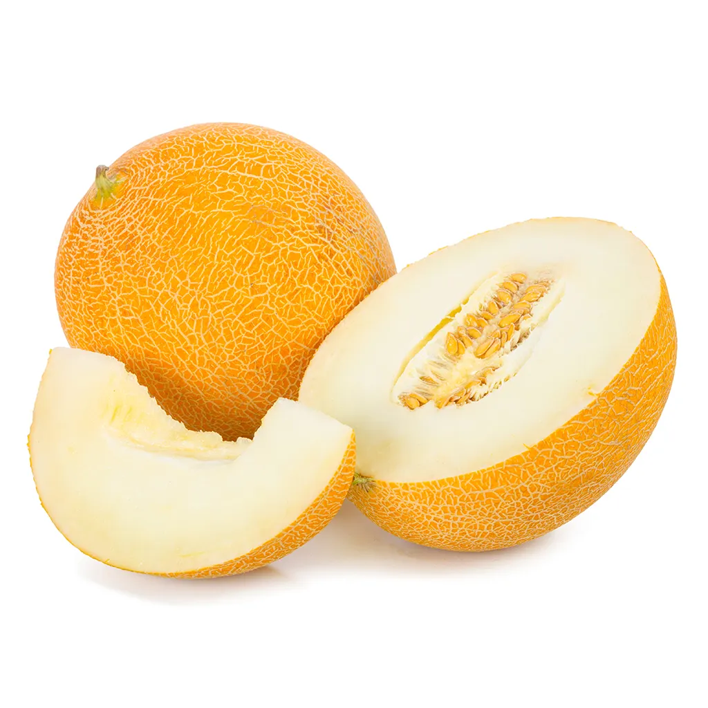 Cantalope