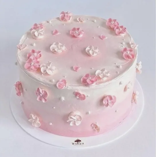 Birthday Cake 13