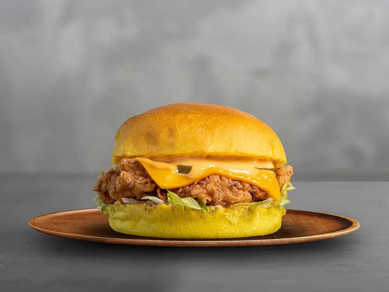 Spicy Chicken Burger Sandwich