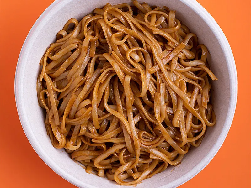 Plain Yaki Udon