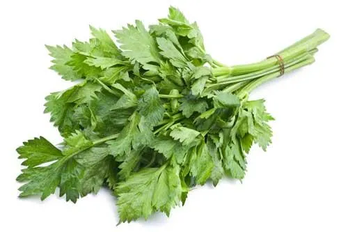 Local celery
