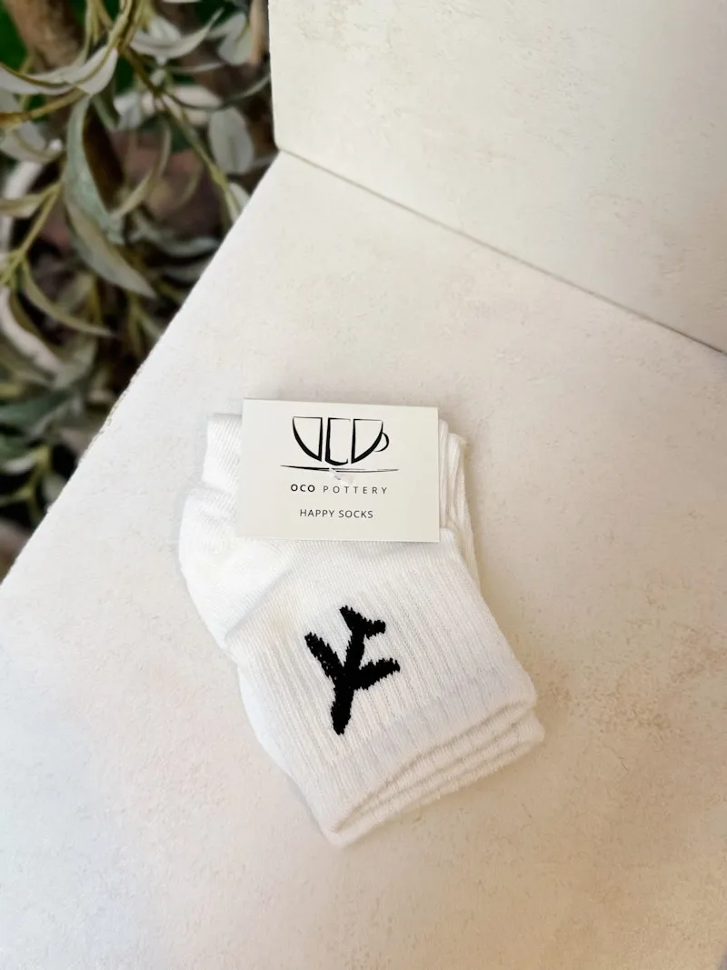 Airplane Socks