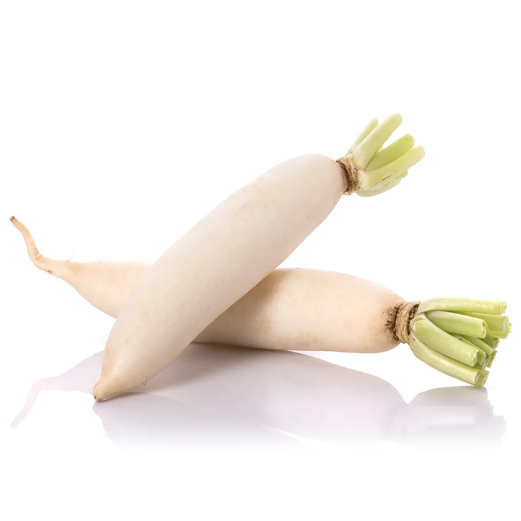 فجل