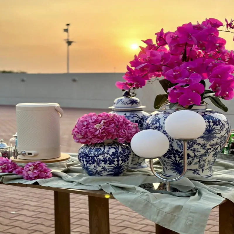 موڤي نايت و٥ سناكس